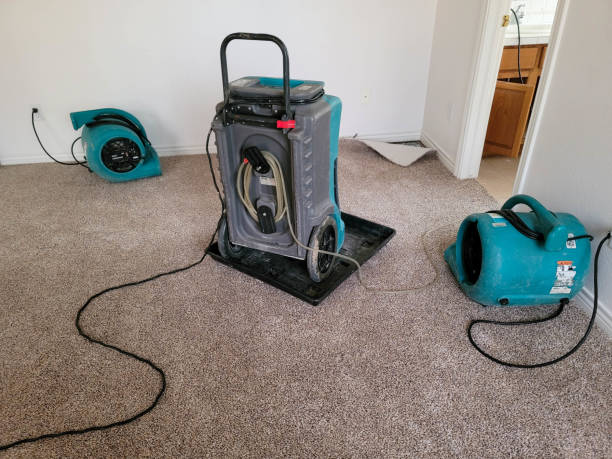Best Local water damage restoration  in Dawson, TX