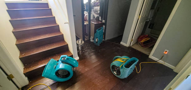 Best Residential water damage restoration  in Dawson, TX