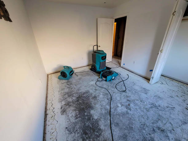Best Commercial water damage restoration  in Dawson, TX