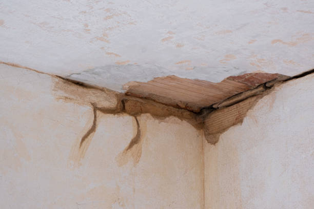 Best Water damage cleanup near me  in Dawson, TX