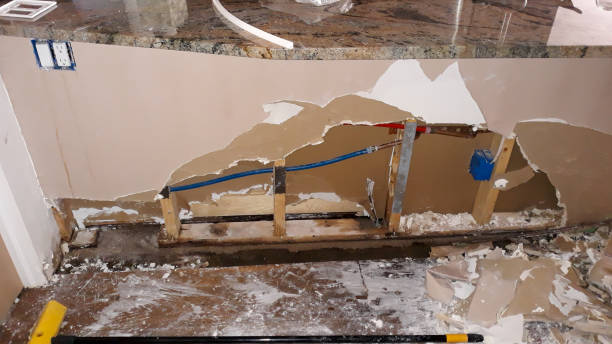Best Flood damage cleanup  in Dawson, TX