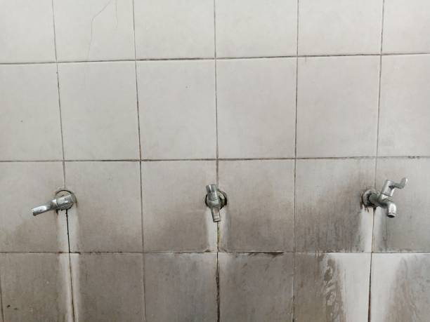 Best Ceiling water damage repair  in Dawson, TX