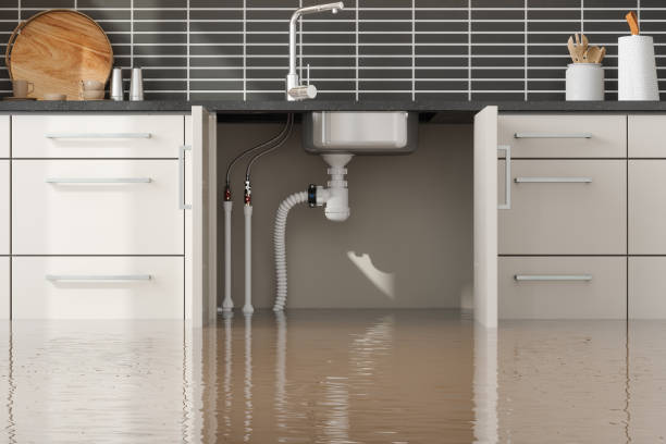 Best 24/7 water damage repair  in Dawson, TX