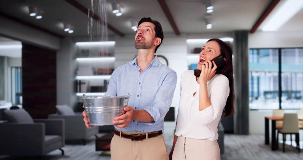 Best Basement water damage restoration  in Dawson, TX